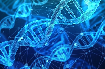 Aufbau DNA